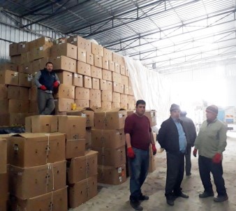 Tütün Üreticileri Fiyatlardan Rahatsız