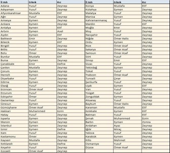 İllere Göre Popüler Bebek İsimleri Açıklandı