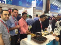 DUBAI - Ortadoğu Yemekleri Türk Zeytinyağıyla Lezzetleniyor