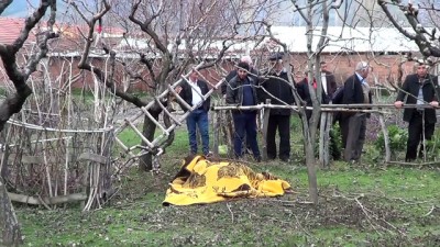 Tokat'ta Budamak İstediği Ağaçtan Düşen Kişi Öldü