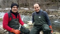 MUSTAFA AKKUŞ - Yrd. Doç. Dr. Mustafa Akkuş; 'Akarsulara Kaçan Çiftlik Alabalıkları Doğal Türleri Tehdit Ediyor'