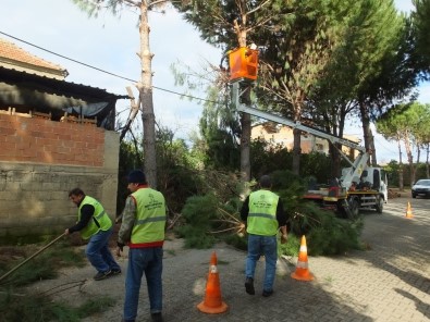 Büyükşehir Ekipleri Bahar Bakımlarına Devam Ediyorş