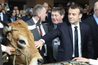 Macron'un Tarım Fuarında İlginç Anları