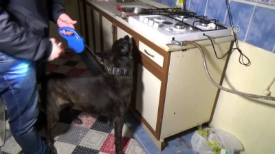 Ankara'da 'Çürük Kavun' Operasyonu