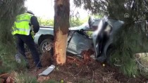 HıDıRBEYLI - Aydın'da Otomobil Ağaca Çarptı Açıklaması 2 Ölü