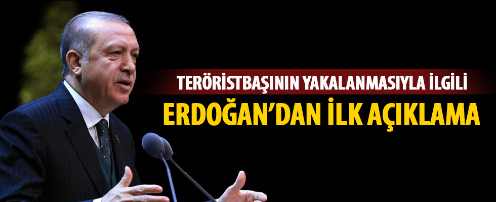 Erdoğan'dan Salih Müslim'in yakalanması hakkında ilk açıklama