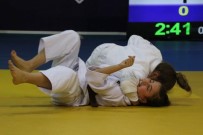 FARUK ÇELİK - Analig Judo Müsabakaları Sona Erdi