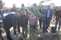 MURAT GIRGIN - Kaymakamı Girgin, Anaokulu Öğrencileri İle Ağaç Dikimi Kampanyasına Katıldı