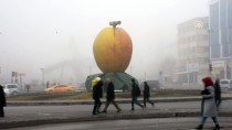 YOLCU UÇAĞI - Malatya'da hava ulaşımına sis engeli