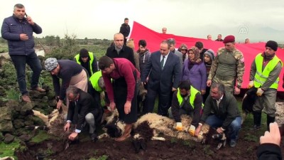 Şehit Aileleri Suriye Sınırında