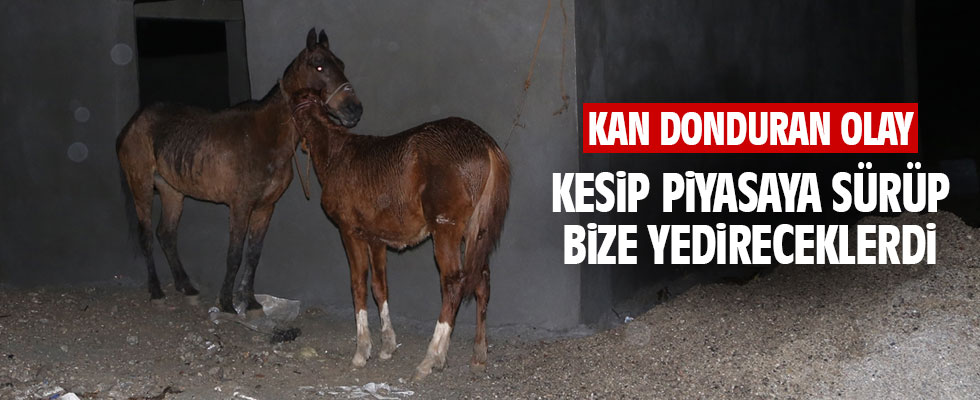 Adana'da kaçak et operasyonu