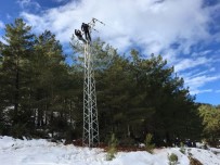 Başkent EDAŞ, Son İki Ayda Bakım, Onarım Ve Yatırım Çalışmalarını Sürdürdü