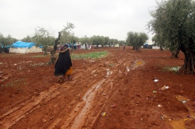 Yazı Bağı Kampı Mültecileri Açıklaması 'Zeytin Dalı Harekatı Zaferle Bitsin De Evlerimize Geri Dönelim'