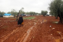 MERCIMEK ÇORBASı - Yazı Bağı Kampı Mültecileri Açıklaması 'Zeytin Dalı Harekatı Zaferle Bitsin De Evlerimize Geri Dönelim'