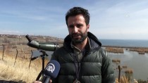 MEHMET YıLMAZ - Bitlis'in Kanatlı Misafirleri Kayıt Altına Alınıyor
