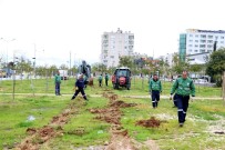 SEL FELAKETİ - Mezitli'de Sele Karşı Düzenleme Yapılıyor