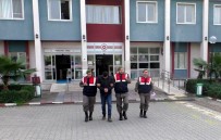 ORGAN TİCARETİ - Organ Taciri Tutuklandı
