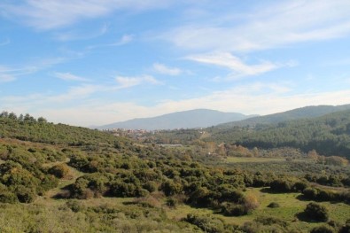 Yeniköy'de Taş Ocağı Açılması İzni Mahkeme Tarafından İptal Edildi