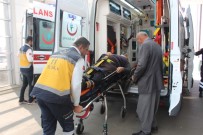 ELİF KORKMAZ - Adıyaman'da İki Otomobil Çarpıştı Açıklaması 8 Yaralı
