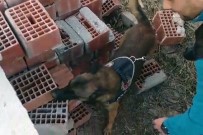 Ares, Tuğla Arasına Saklanan Uyuşturucuyu Buldu