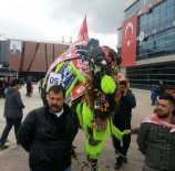 MUAMMER AKSOY - Biga'da Deve Güzeli Yarışması