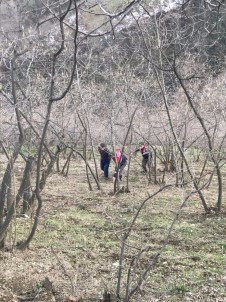 Cezaevi Firarisi Fındıklıkta Yakalandı