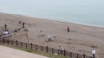 Vatandaşlar Plajı Temizlediler