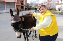 'Vuracağım Kırbacı' Repliği 45 Yıl Sonra Gerçek Oldu