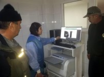 YÜKSEK ATEŞ - Otomobilin Çarptığı Karaca Telef Oldu