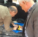 SOKAK KÖPEĞİ - Yaralı Köpek Tedavi Edildi