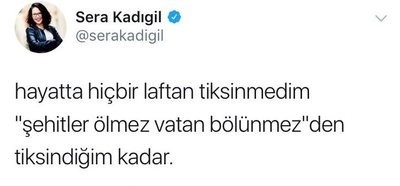 Şehitlere hakaret eden isim o listede