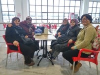 TARIM VE HAYVANCILIK FUARI - Bozüyük Sebze Üreticileri Birliği Tarım Fuarında