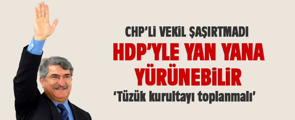 Fikri Sağlar: CHP HDP'yle yan yana yürünebilir