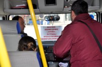 MİNİBÜS DURAĞI - Minibüsçülerin Bir Günlük Kazancı Mehmetçiğe Gidecek