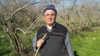 ERİK AĞACI - Almanya'da Emekli Oldu, Memleketinde Çiftçiliğe Devam Ediyor