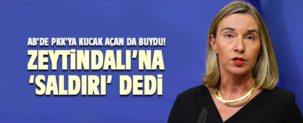 AB’den Türkiye’yi kızdıracak Afrin mesajı