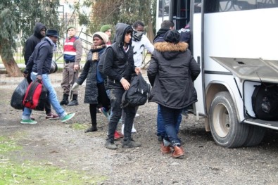 Ayvalık'ta 47 Mülteci Yakalandı