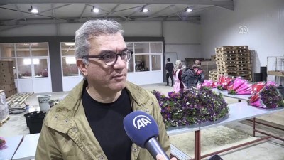 Çiçekte 'Sevgililer Günü' Yoğunluğu