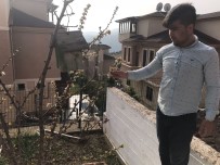 ERİK AĞACI - Erik ağacı Şubat ayında çiçek açtı