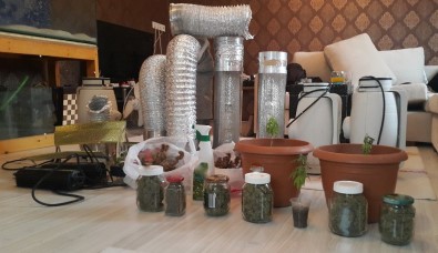 İstanbul'da Uyuşturucu Operasyonlarında 10 Tutuklama