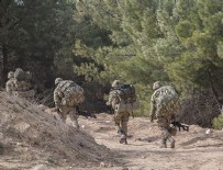 TSK bir köyü daha teröristlerden temizledi