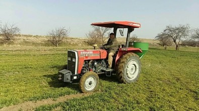 Çiftçiler Mahsullere Çimen Gübre Atmaya Başladılar