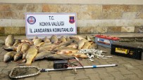 BEYŞEHIR GÖLÜ - Elektroşokla Balık Avına 32 Bin Lira Ceza