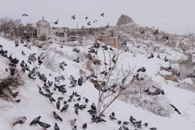 Kapadokya'yı Ocak Ayında 102 Bin 540 Turist Ziyaret Etti