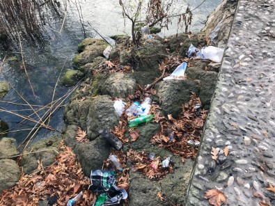 Sapanca Gölü Kıyısından 250 Torba Çöp Toplandı