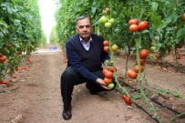 KAYHAN - Ziraat Odasından 'Yemeğimize Zehir Katılıyor' Haberine Tepki