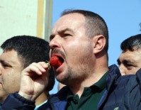 İLAÇ KALINTISI - Antalyalı Çiftçiler 'Hormon' İddialarına Meyve Sebzeyi Yıkamadan Yiyerek Tepki Gösterdi