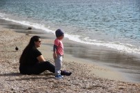 BITEZ - Bodrum'a Bahar Erken Geldi