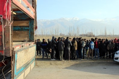 Erzincan'da 10 Günde 322 Kaçak Göçmen Yakalandı