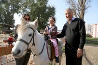 HAYVAN SEVGİSİ - Miniklerin At Sevgisi